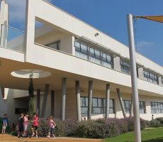 בית ספר הירוק- חצר