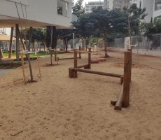 _תמונה מ-צביה חמו (2)