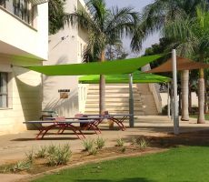 _תמונה מ-צביה חמו